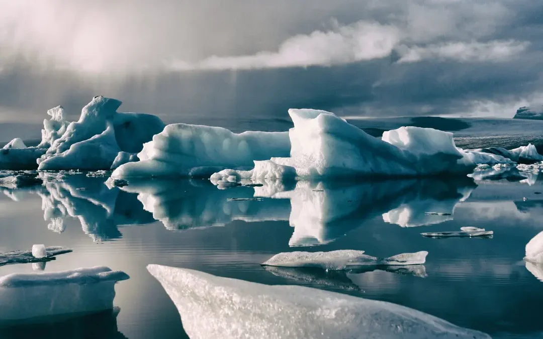 The Path to a Net-Zero Economy