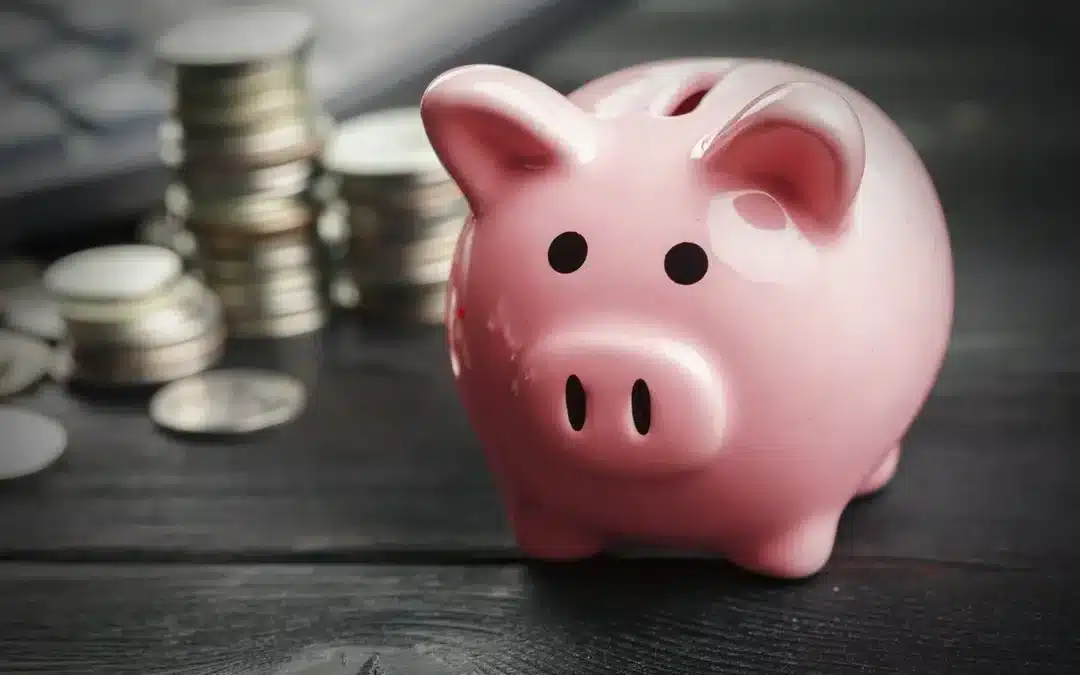 Should You Use Your Employer Sponsored Retirement Savings Plan?