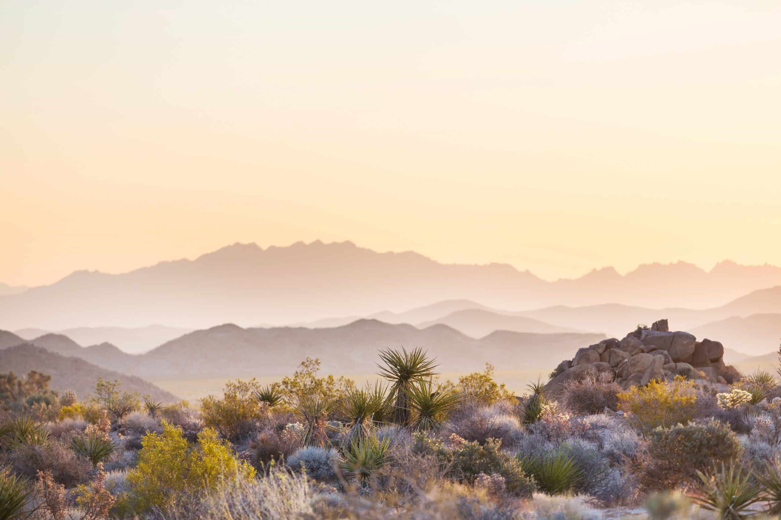 Fullerton Financial Planning - Arizona Independent Financial Advisor - AdobeStock 270144565 1 scaled